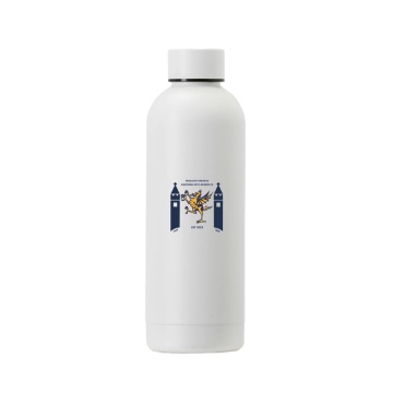 STAINLESS STEEL BOTTLE - 500ML